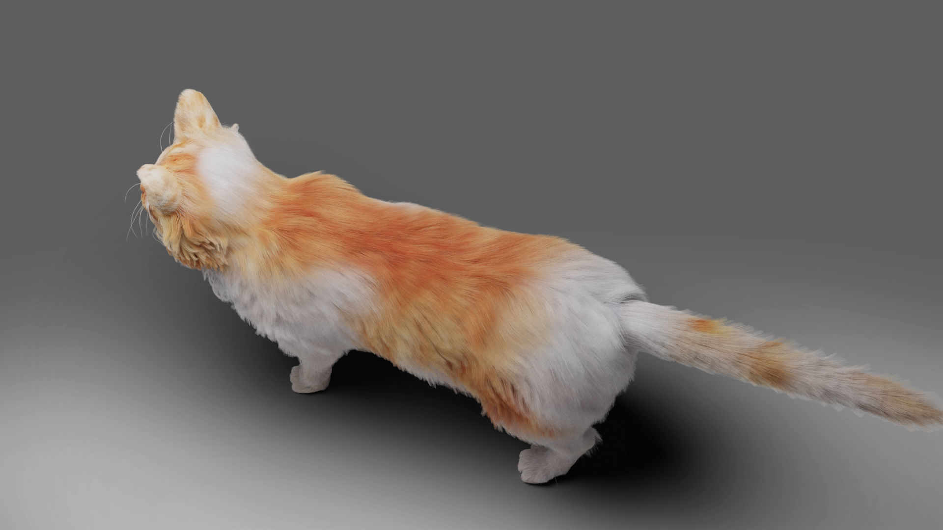 Fur Cat Calico V02 Rigged and Animated Low-poly 3D model_11