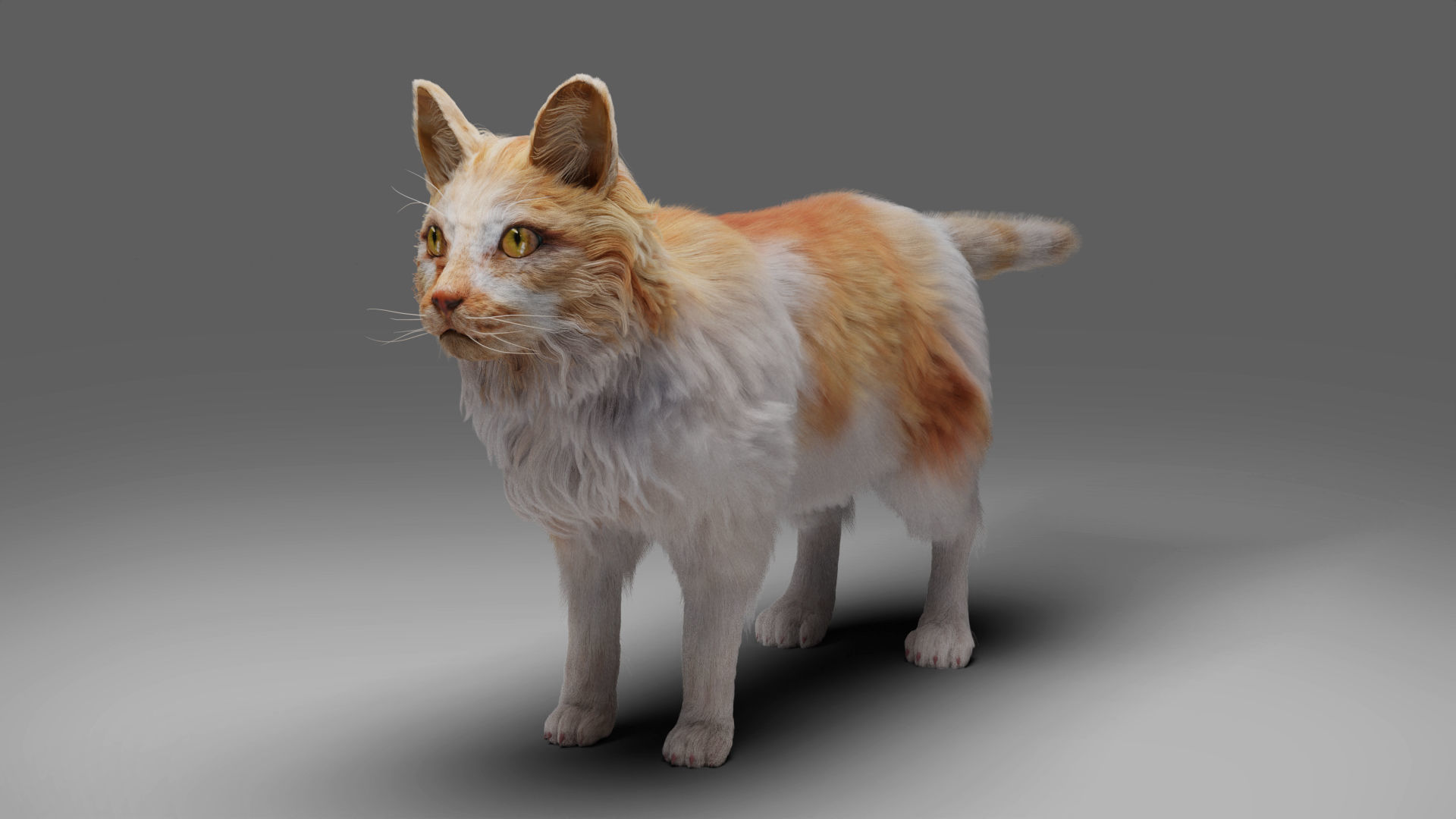Fur Cat Calico V02 Rigged and Animated Low-poly 3D model_6