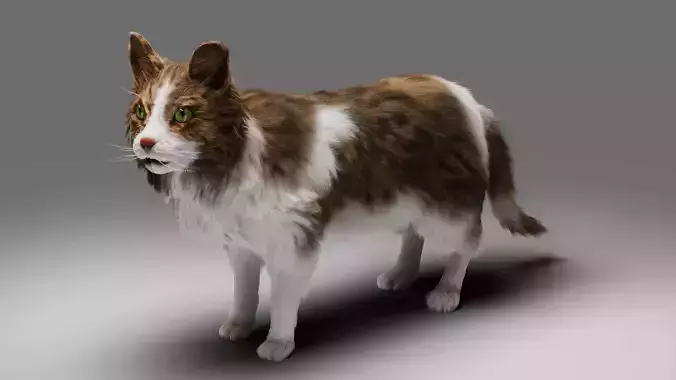 Fur Cat Calico V03 Rigged and Animated