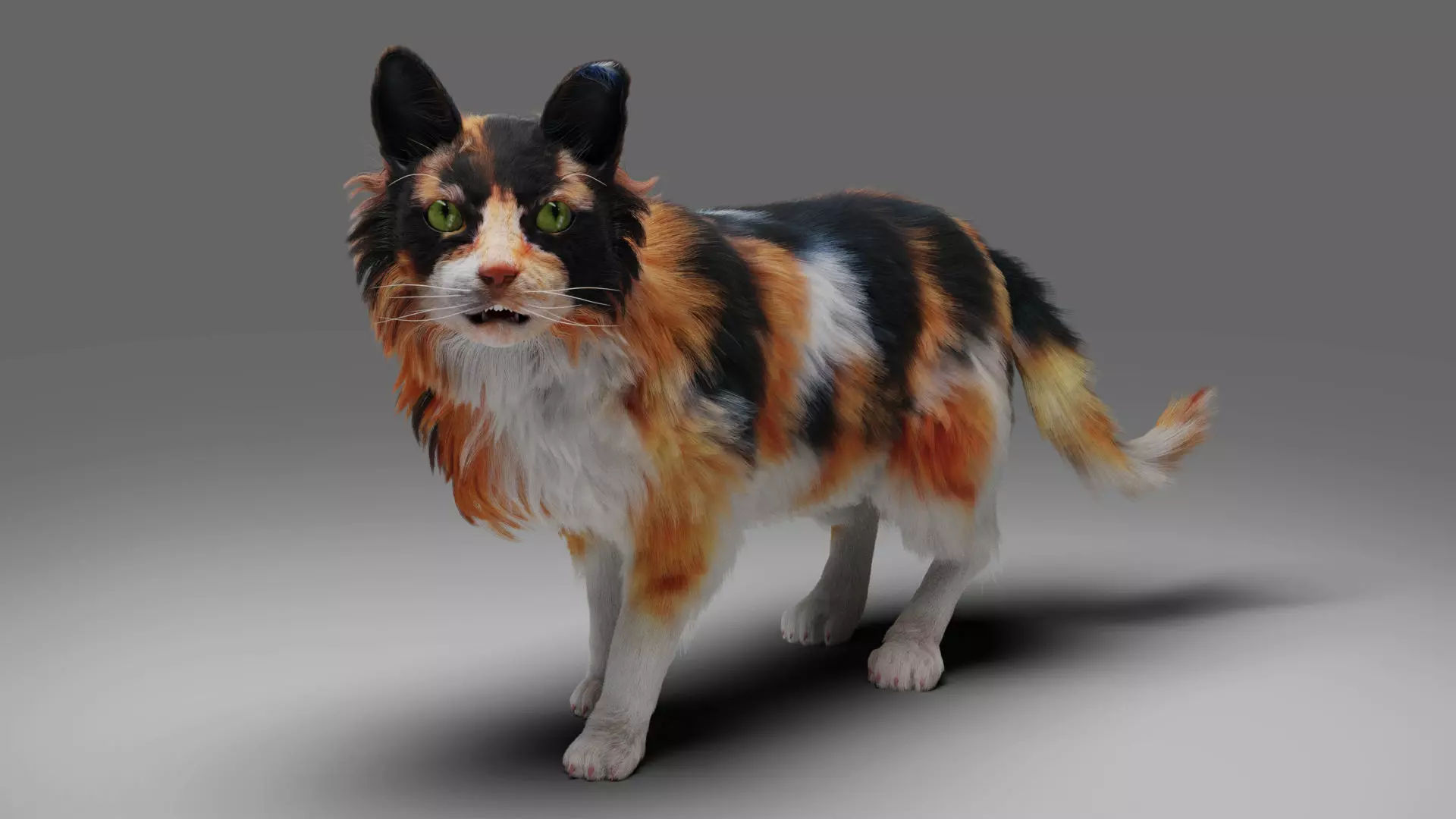 Fur Calico Cat V04 Rigged and Animated Low-poly 3D model