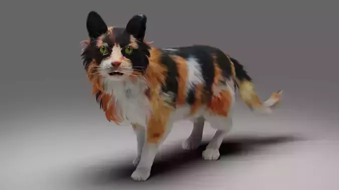 Fur Calico Cat V04 Rigged and Animated Low-poly 3D model