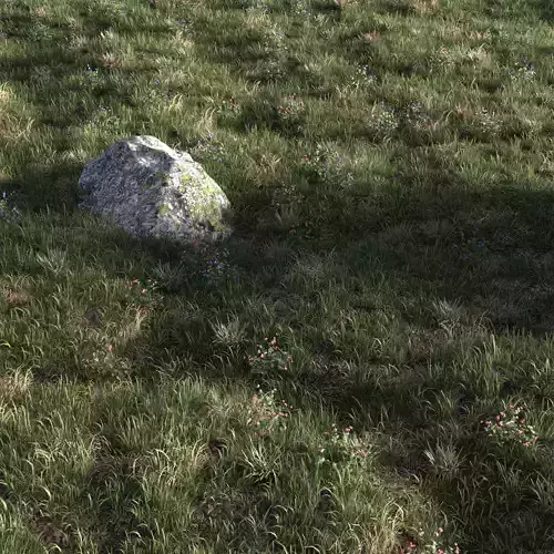 Field herbs 3 grass 3D model
