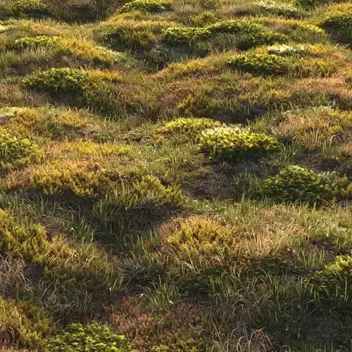 Forest grass 3D model
