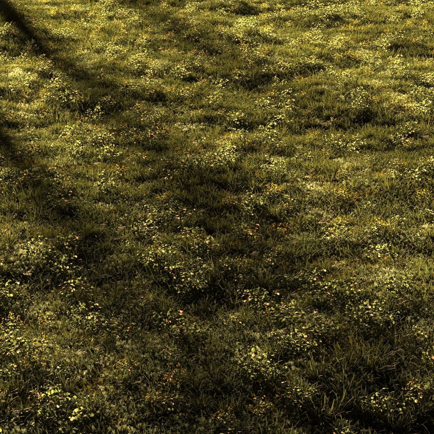 Forest grass 2 3D model_2