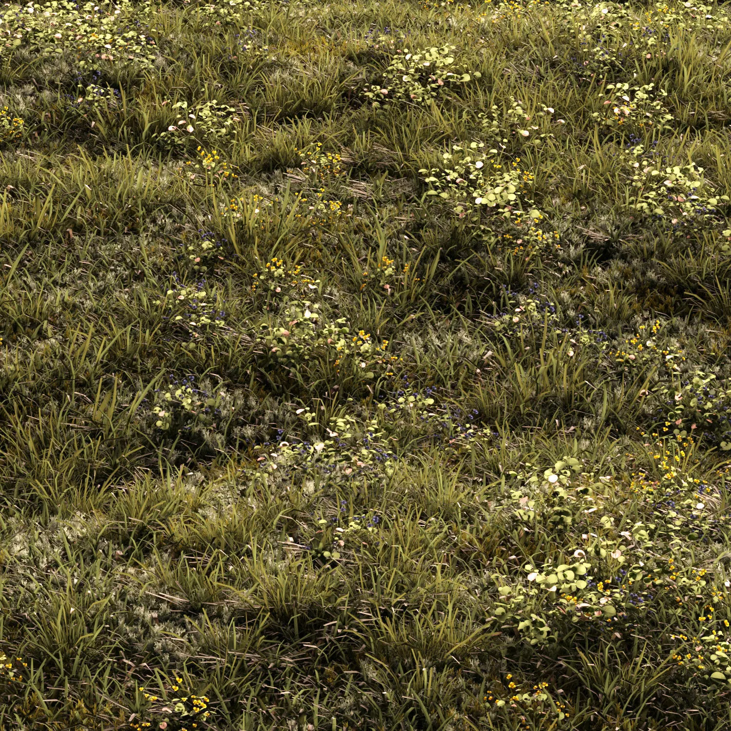 Forest grass 2 3D model_0