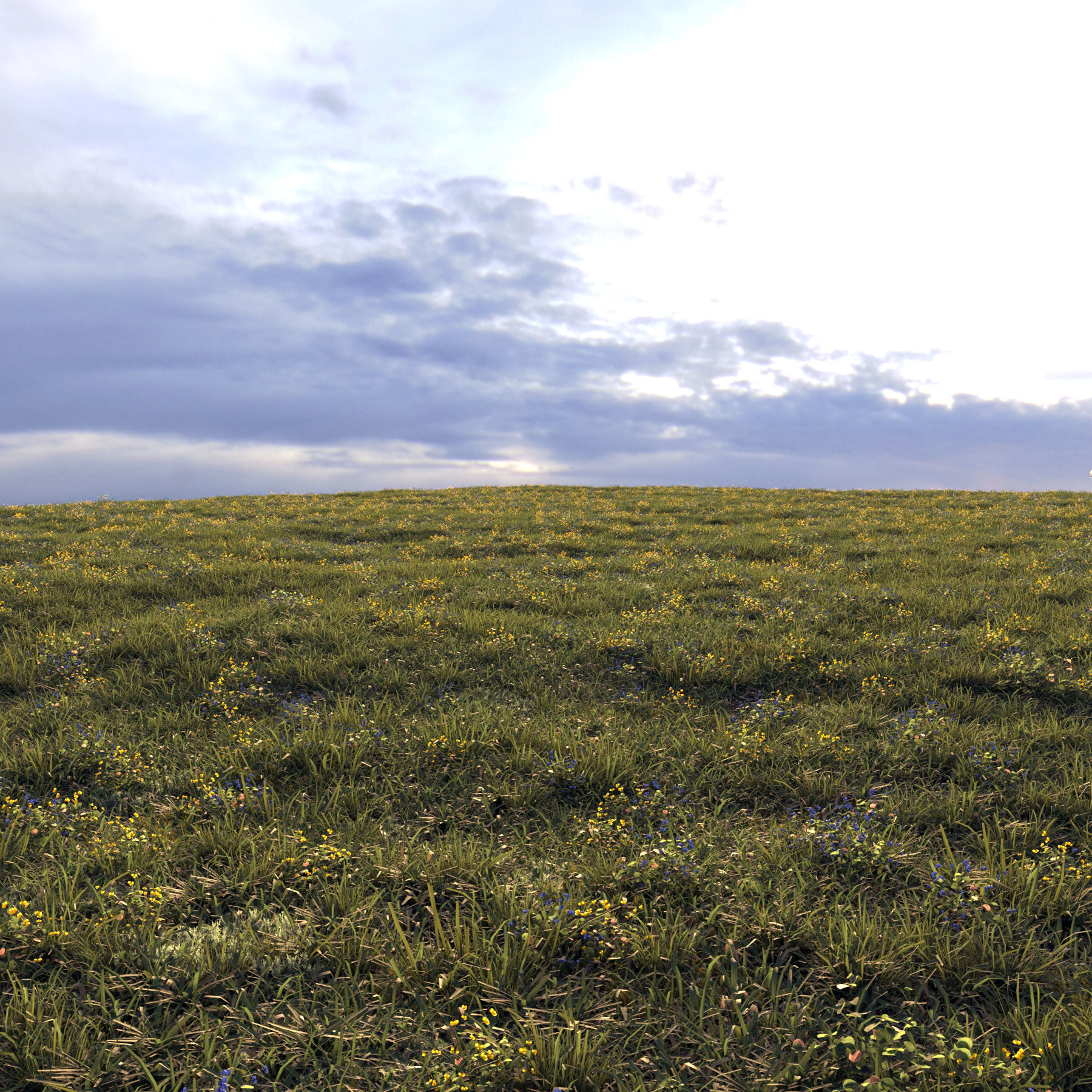 Forest grass 2 3D model_4