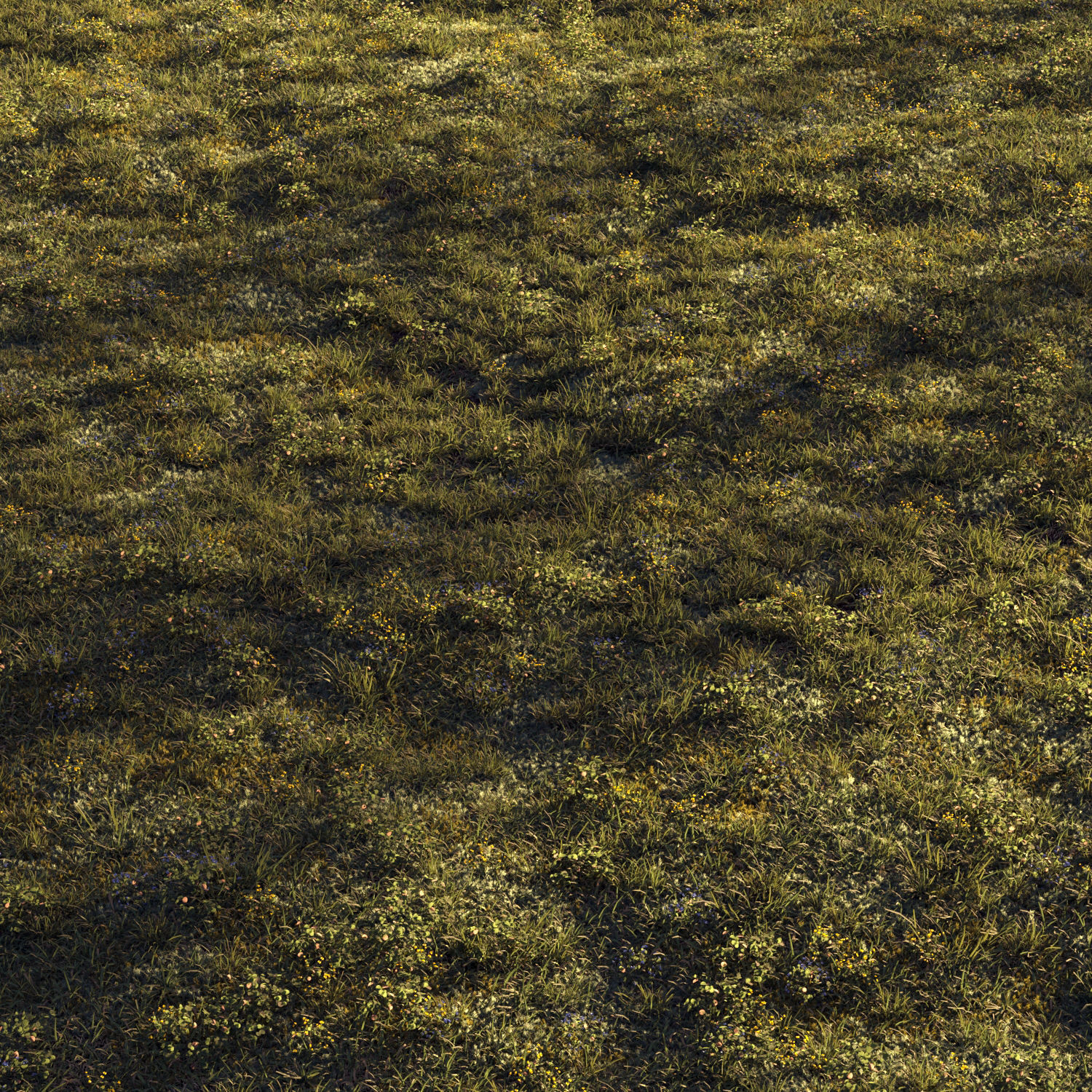 Forest grass 2 3D model_1