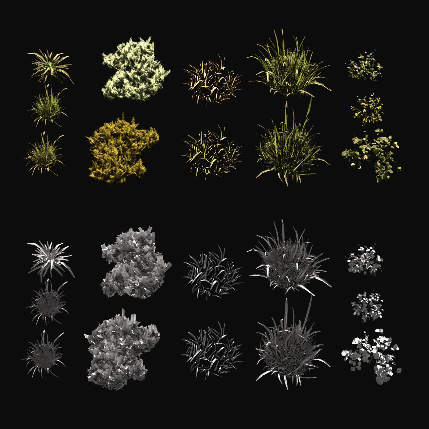 Forest grass 2 3D model_7