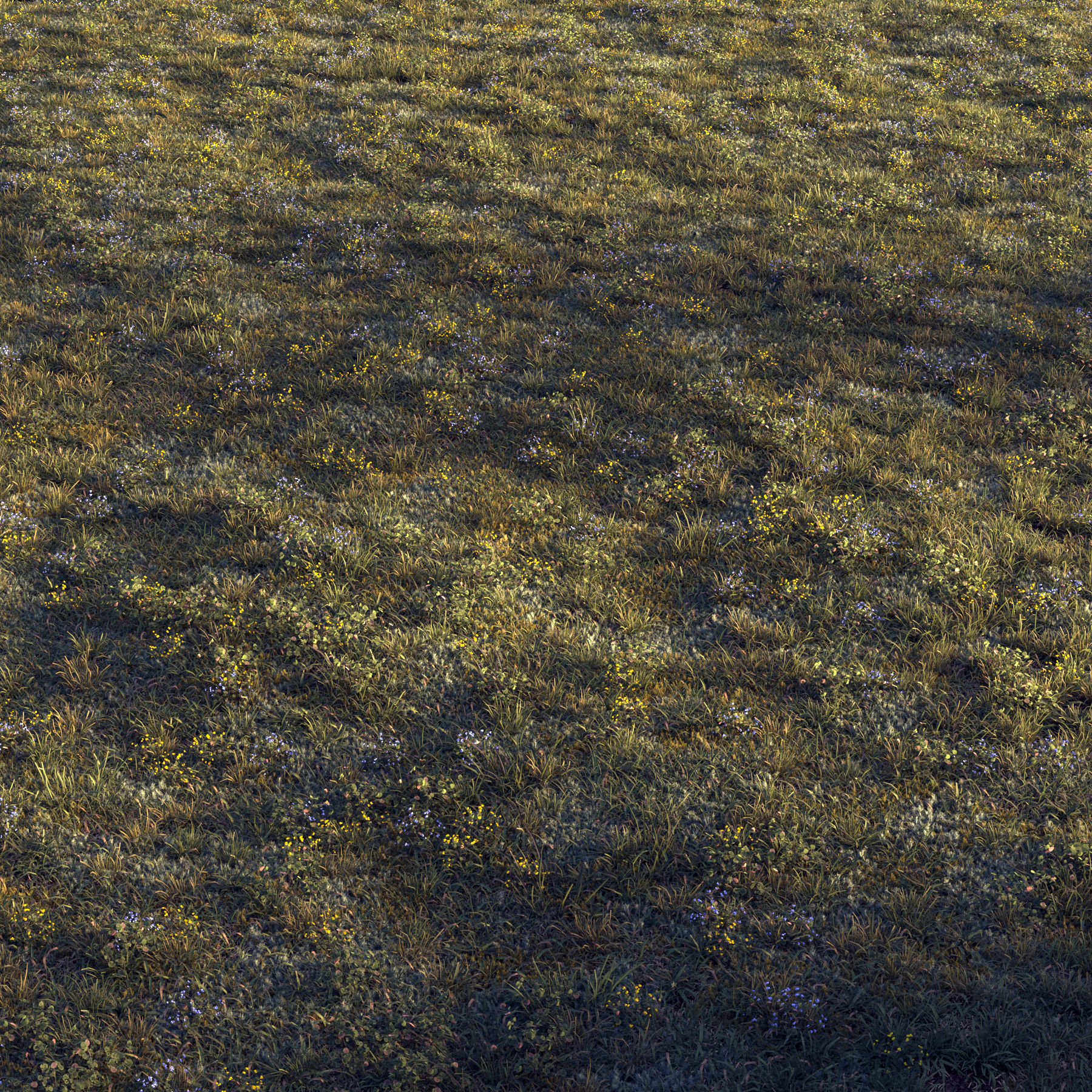 Forest grass 2 3D model_3