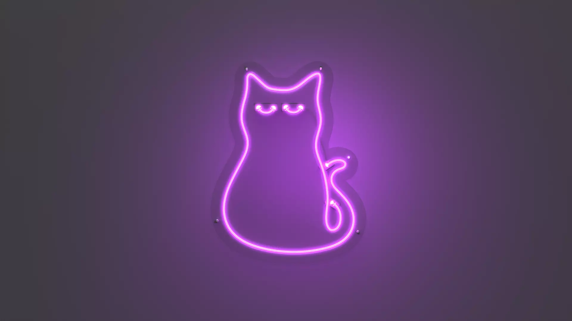 Cat 1 - Neon Sign 3D model_0