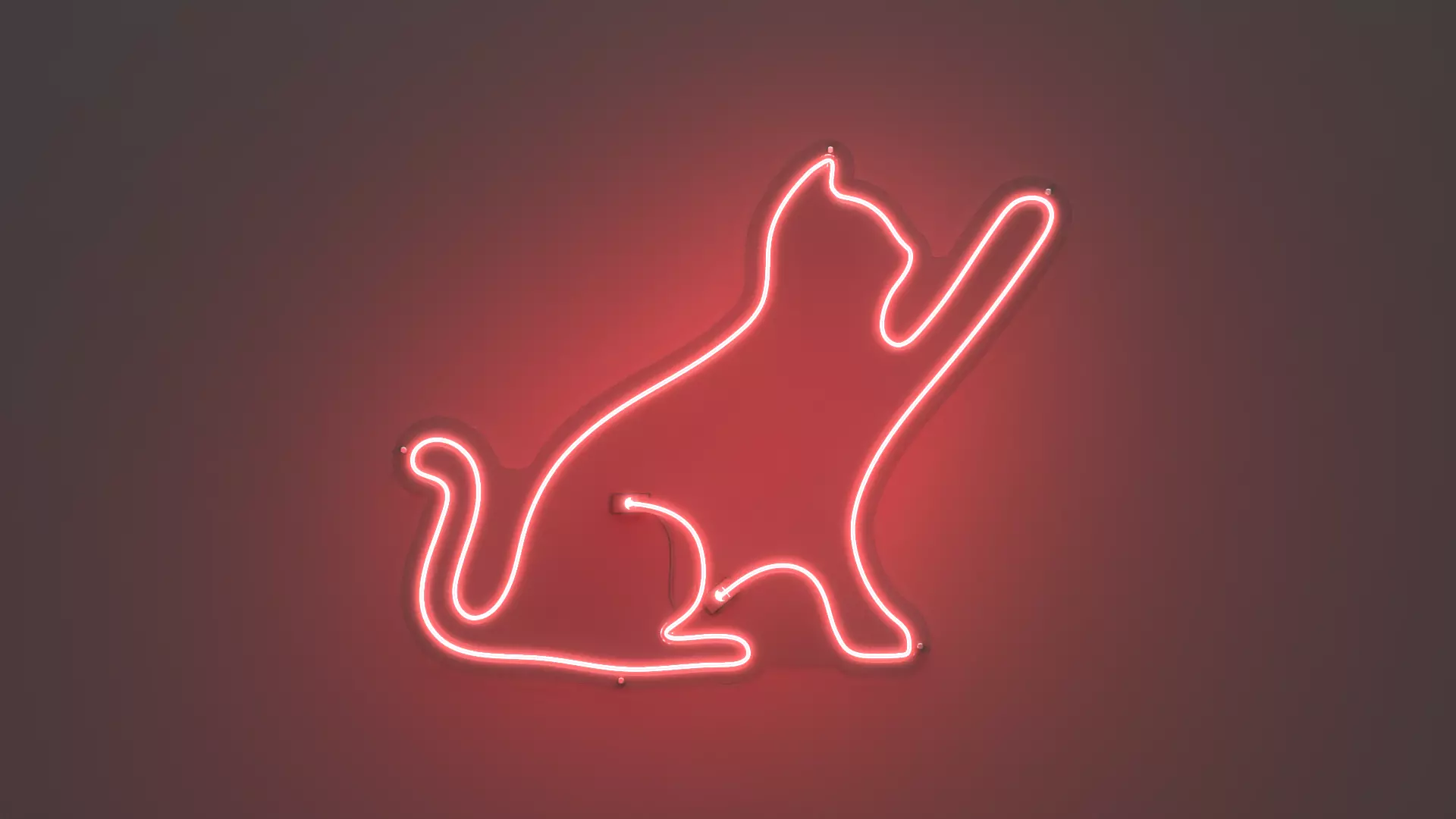 Cat 3 - Neon Sign 3D model_0