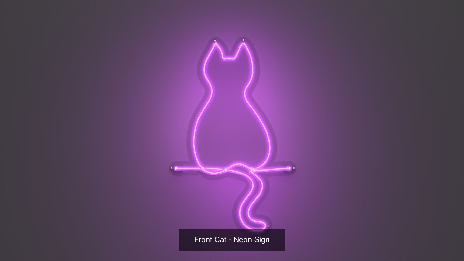 Cats Pack - Neon Signs 3D Model Collection_2