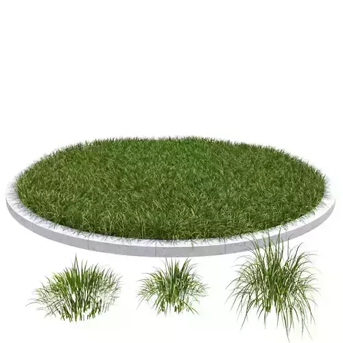 Simple Grass Model