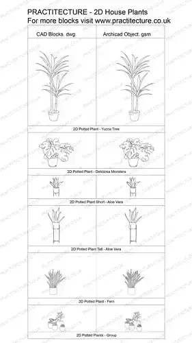 2D Potted Plant - Fern 3D model