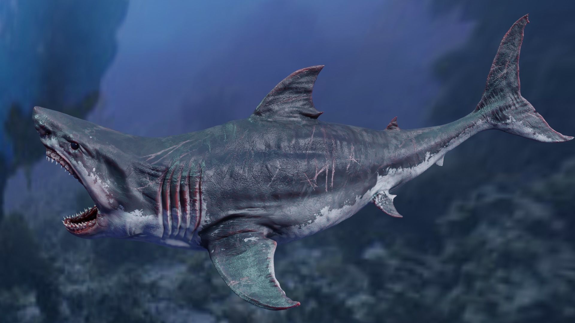 White Shark  Animated  Low-poly 3D model_12