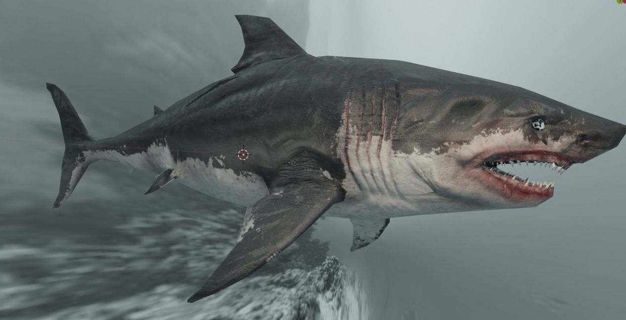 White Shark  Animated  Low-poly 3D model_30