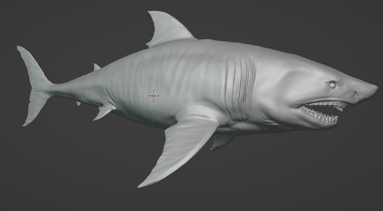 White Shark  Animated  Low-poly 3D model_25