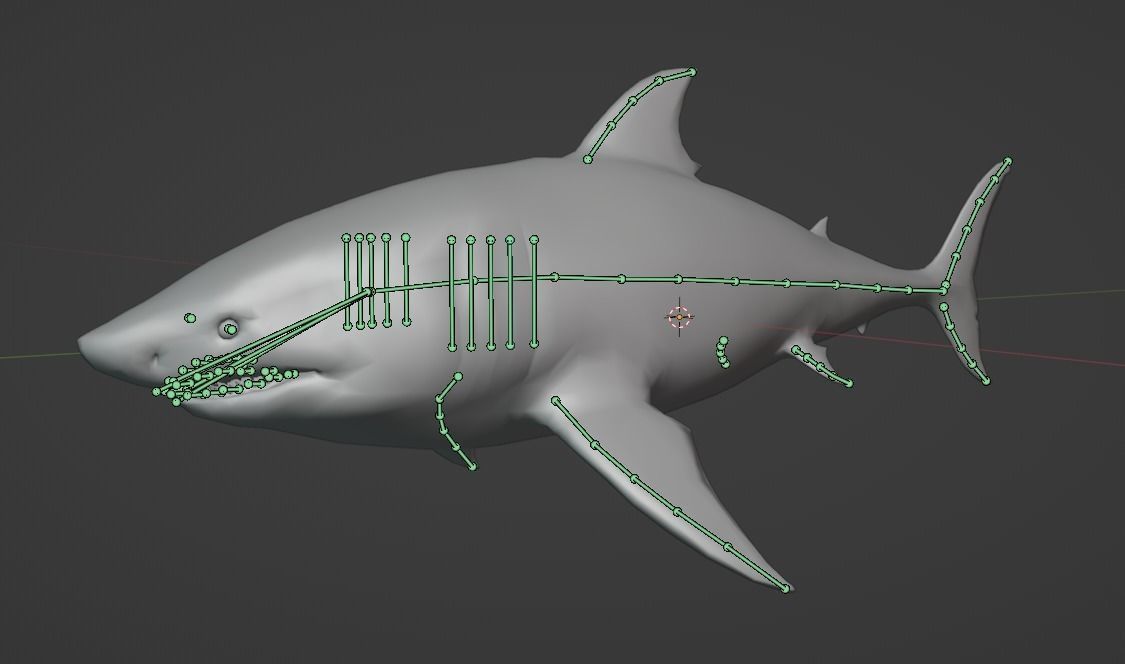 White Shark  Animated  Low-poly 3D model_23