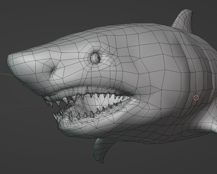 White Shark  Animated  Low-poly 3D model_15