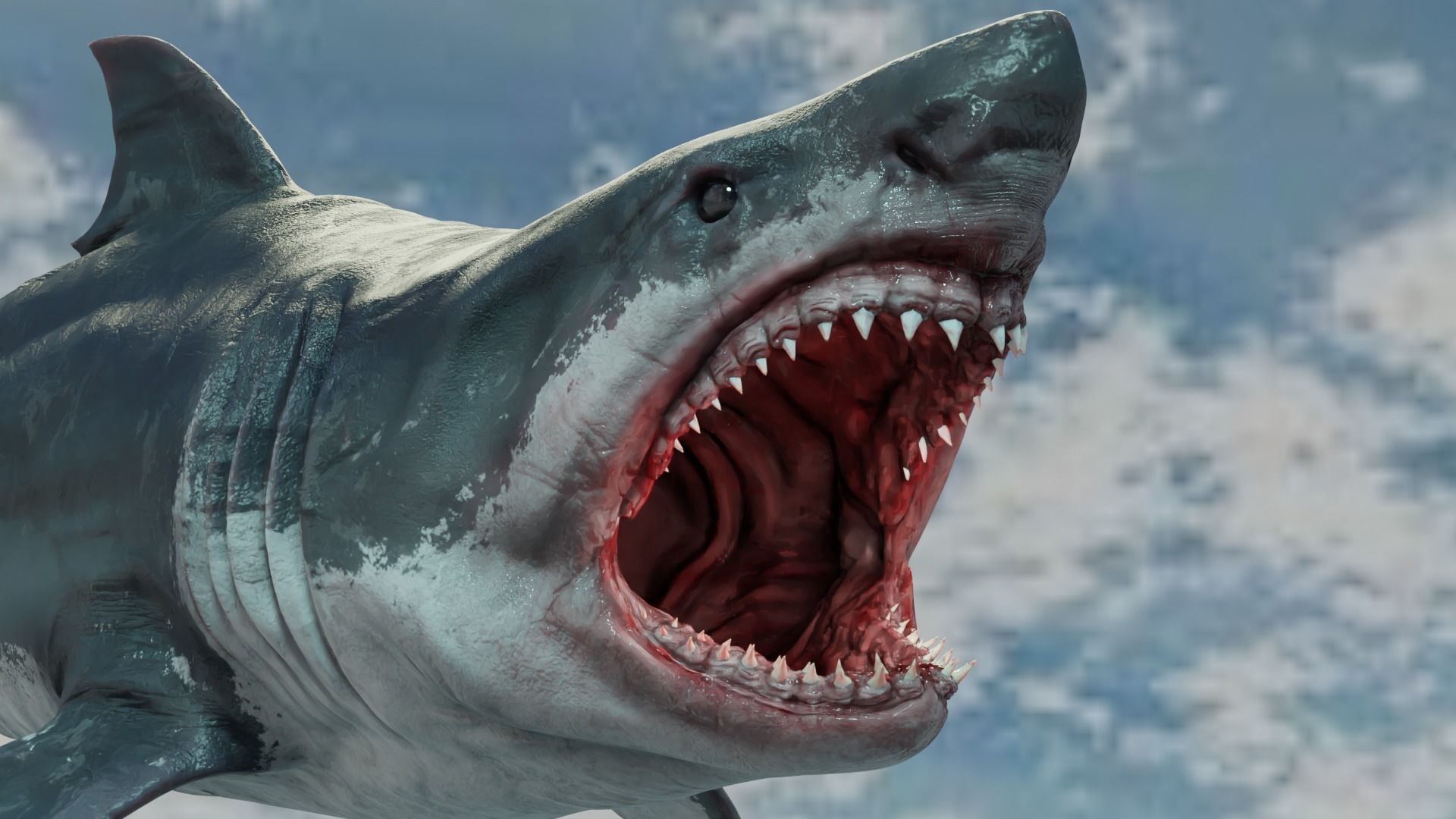 White Shark  Animated  Low-poly 3D model_9