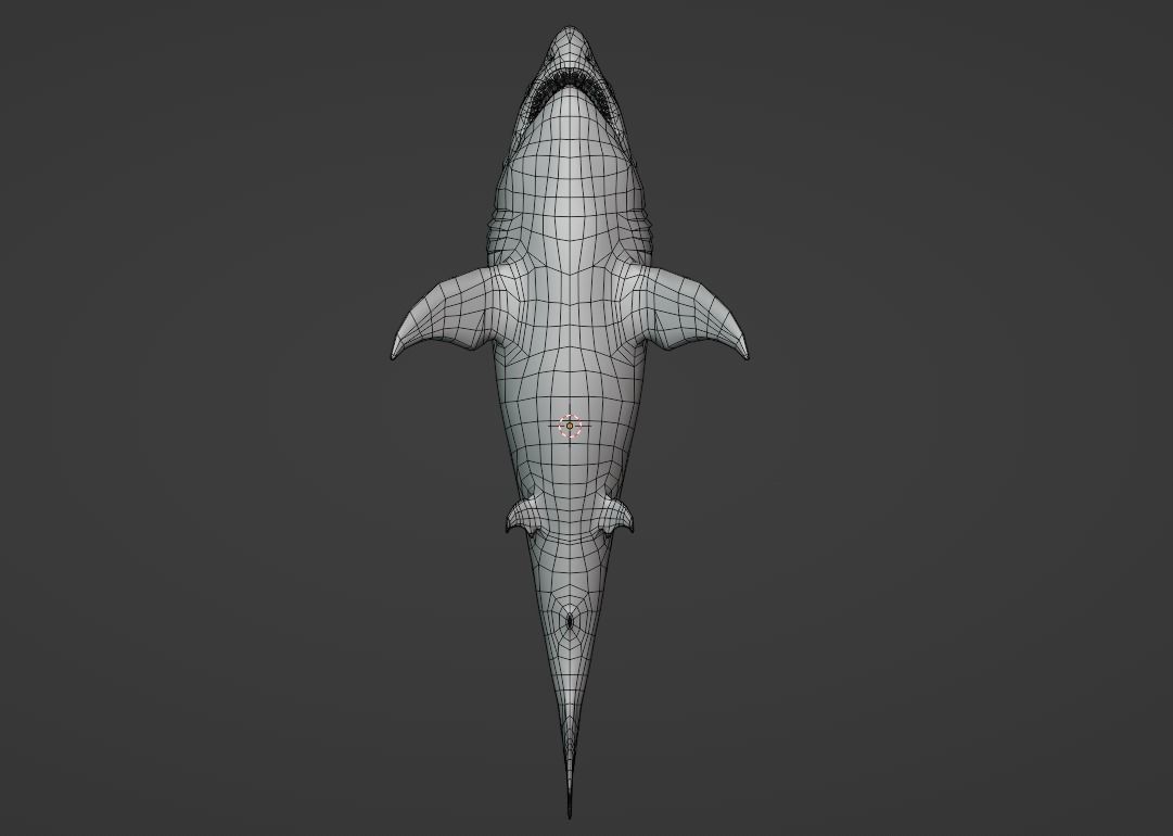 White Shark  Animated  Low-poly 3D model_17