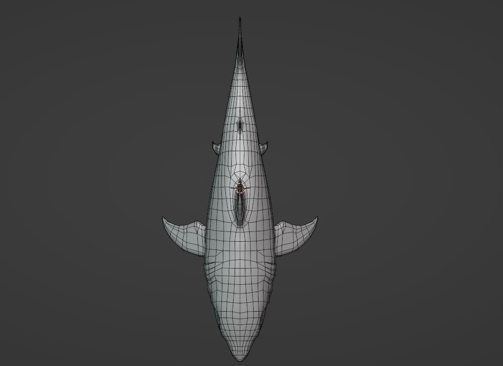 White Shark  Animated  Low-poly 3D model_16