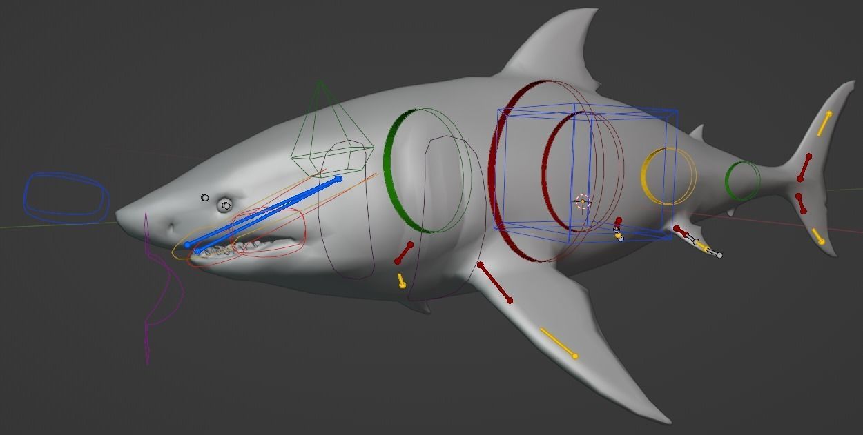 White Shark  Animated  Low-poly 3D model_22