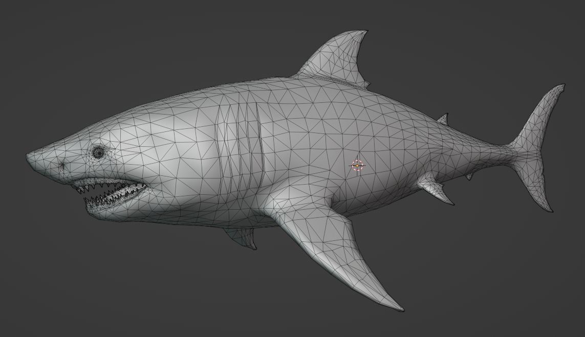White Shark  Animated  Low-poly 3D model_26