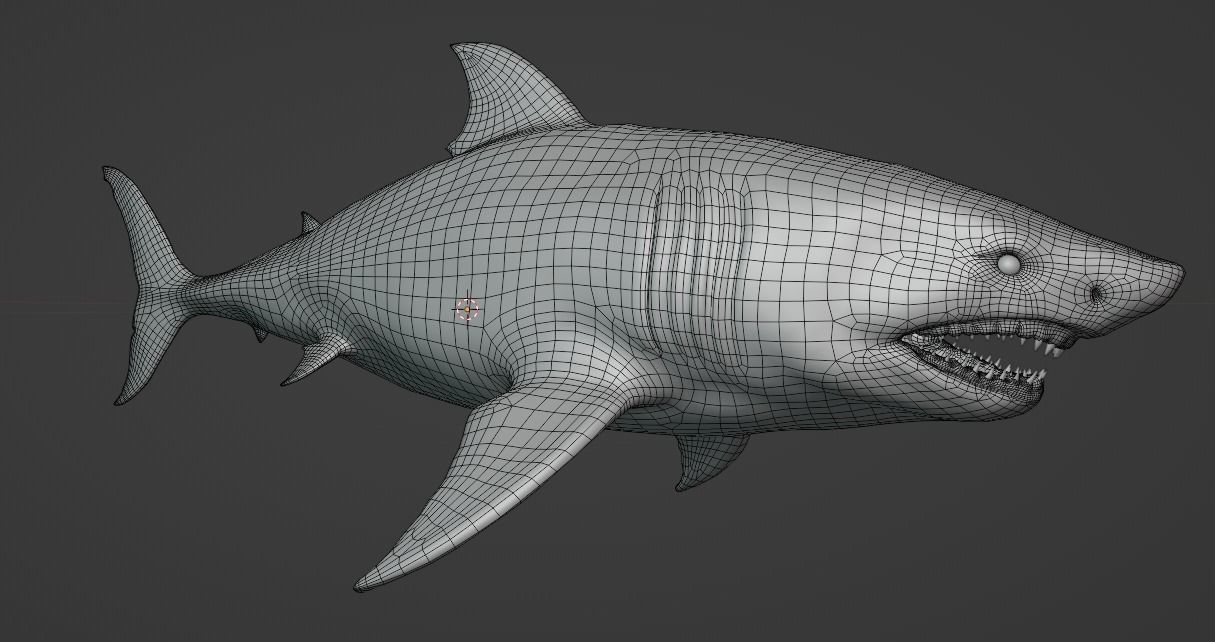 White Shark  Animated  Low-poly 3D model_24
