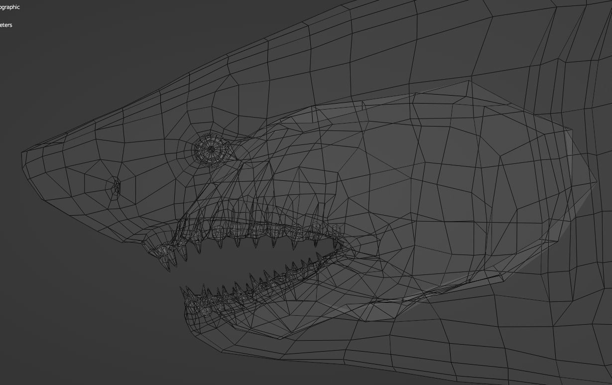 White Shark  Animated  Low-poly 3D model_19