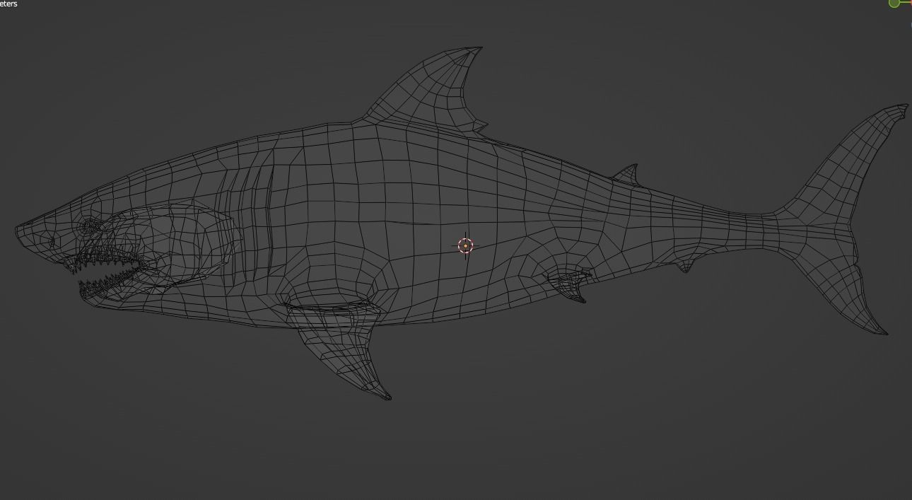 White Shark  Animated  Low-poly 3D model_20
