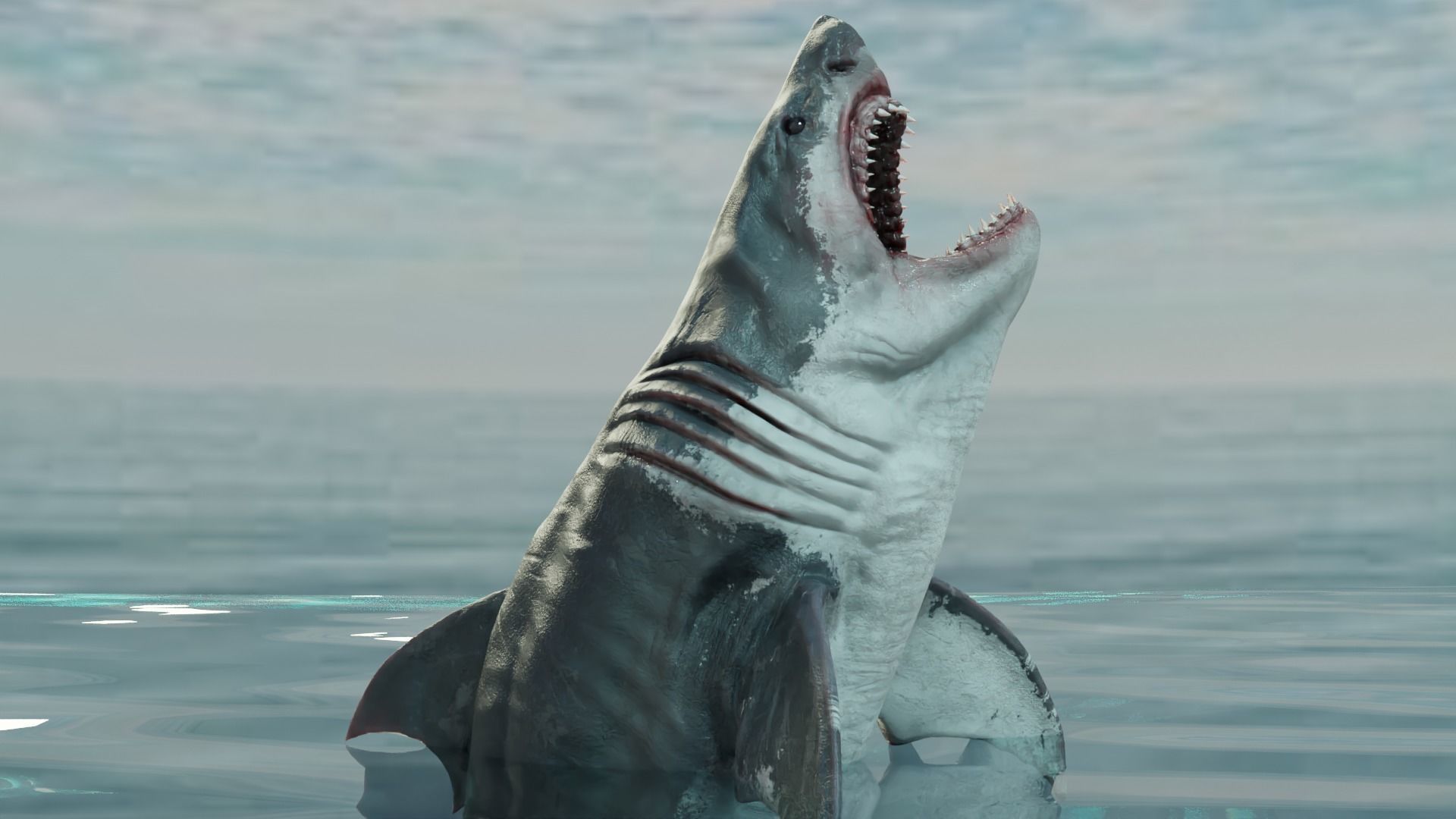 White Shark  Animated  Low-poly 3D model_10