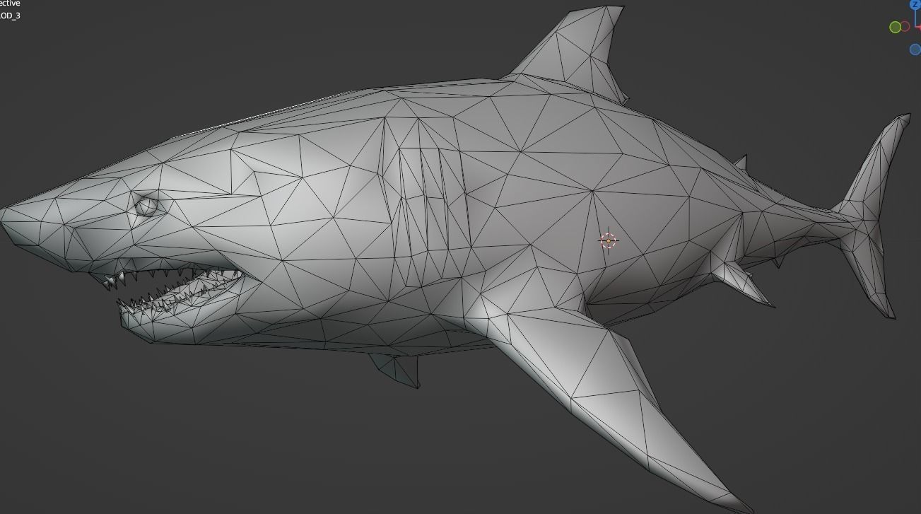 White Shark  Animated  Low-poly 3D model_29