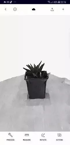 small potted plant 3d scan