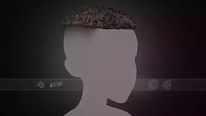 Male Hair Cards Style 13 - Curly Hair 3 Low-poly 3D model