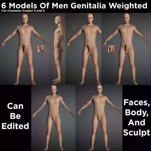 3d metahuman female game character and male  and female genitals Low-poly 3D model