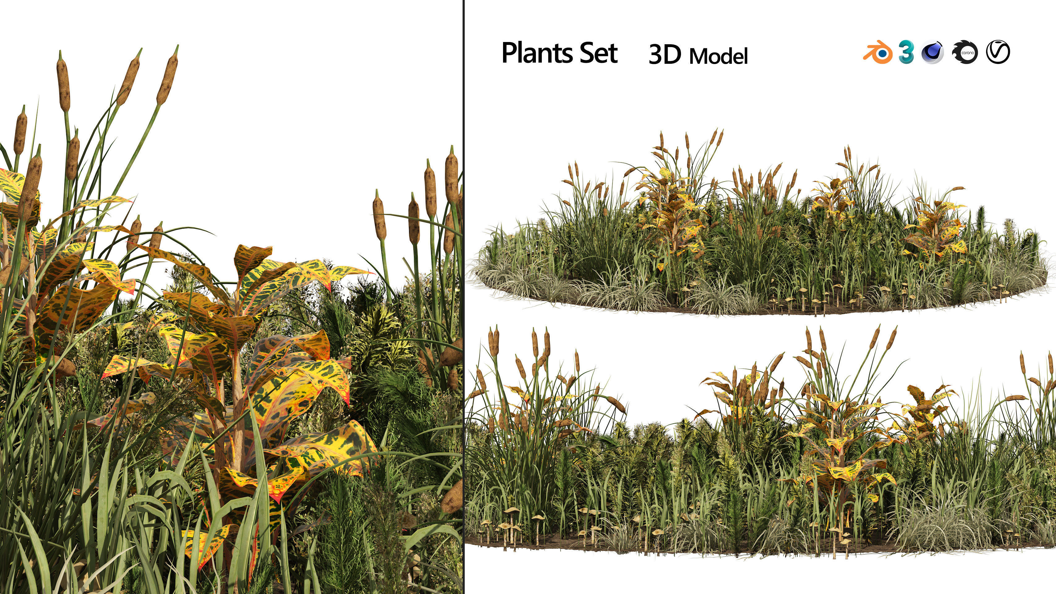 garden plants set 3D model_7