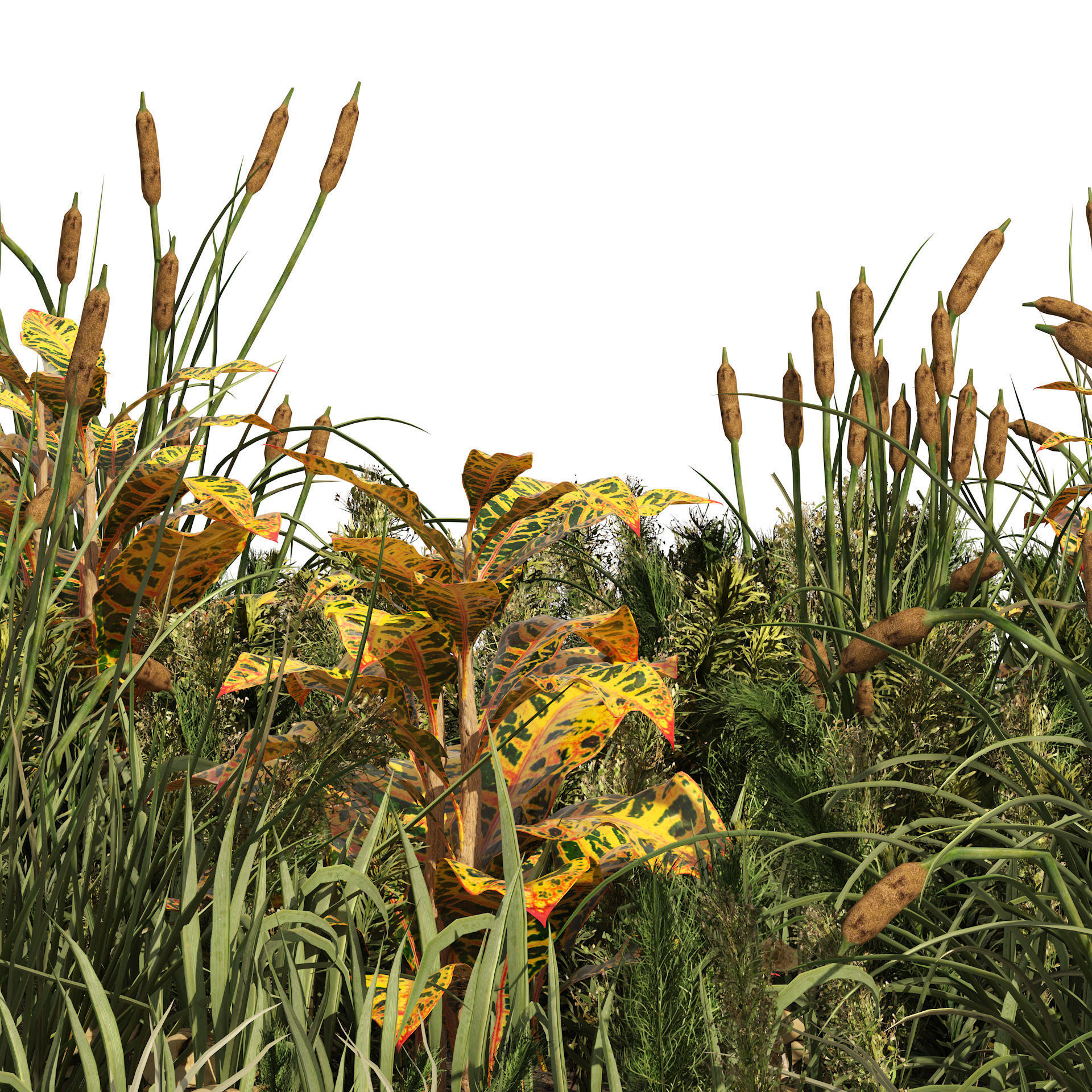 garden plants set 3D model_3