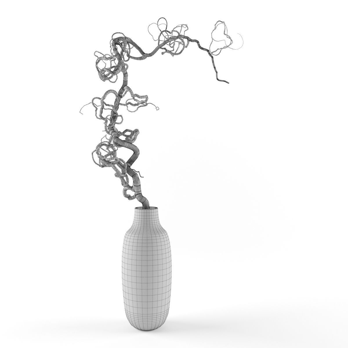 Vase Curl 3D model_3