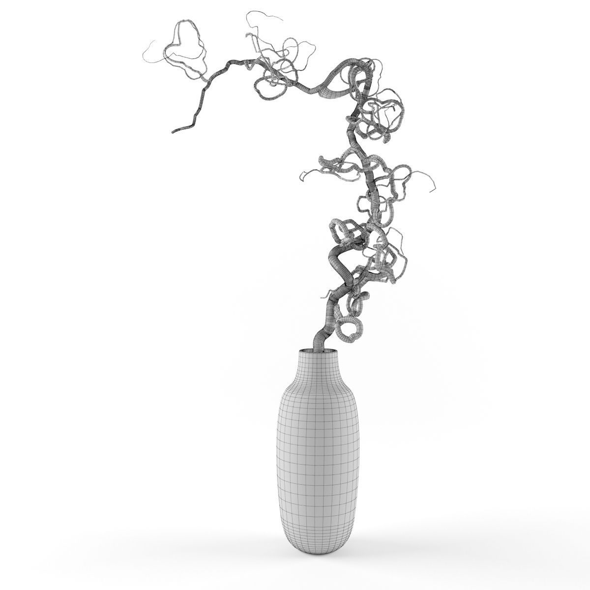 Vase Curl 3D model_4