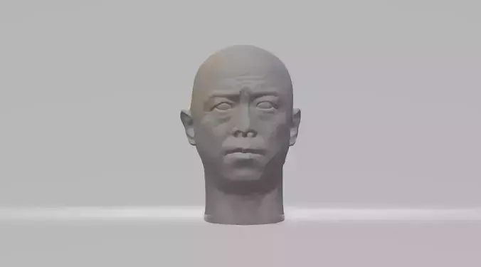 Huang Bo Head 3D Model 3D print model
