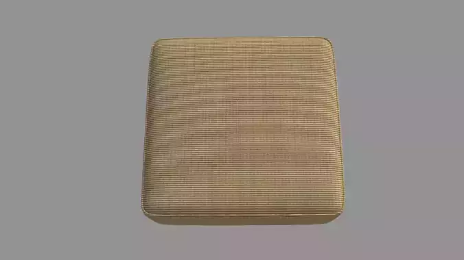 Single Sofa- Cushion 3D model
