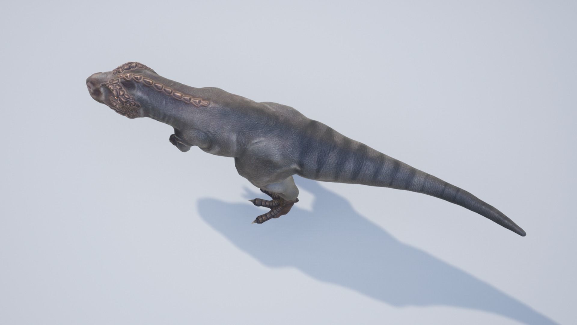 Tyrannosaurus  Low-poly 3D model_10