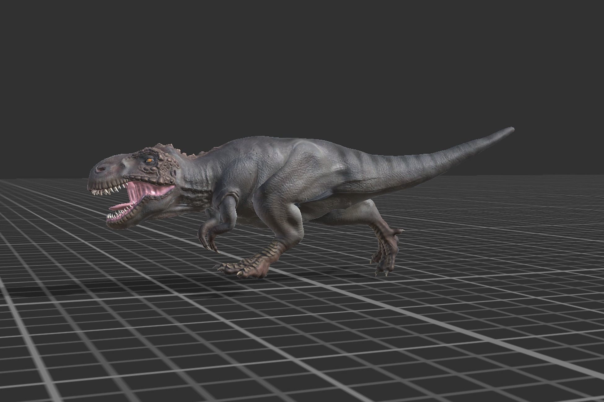 Tyrannosaurus  Low-poly 3D model_7