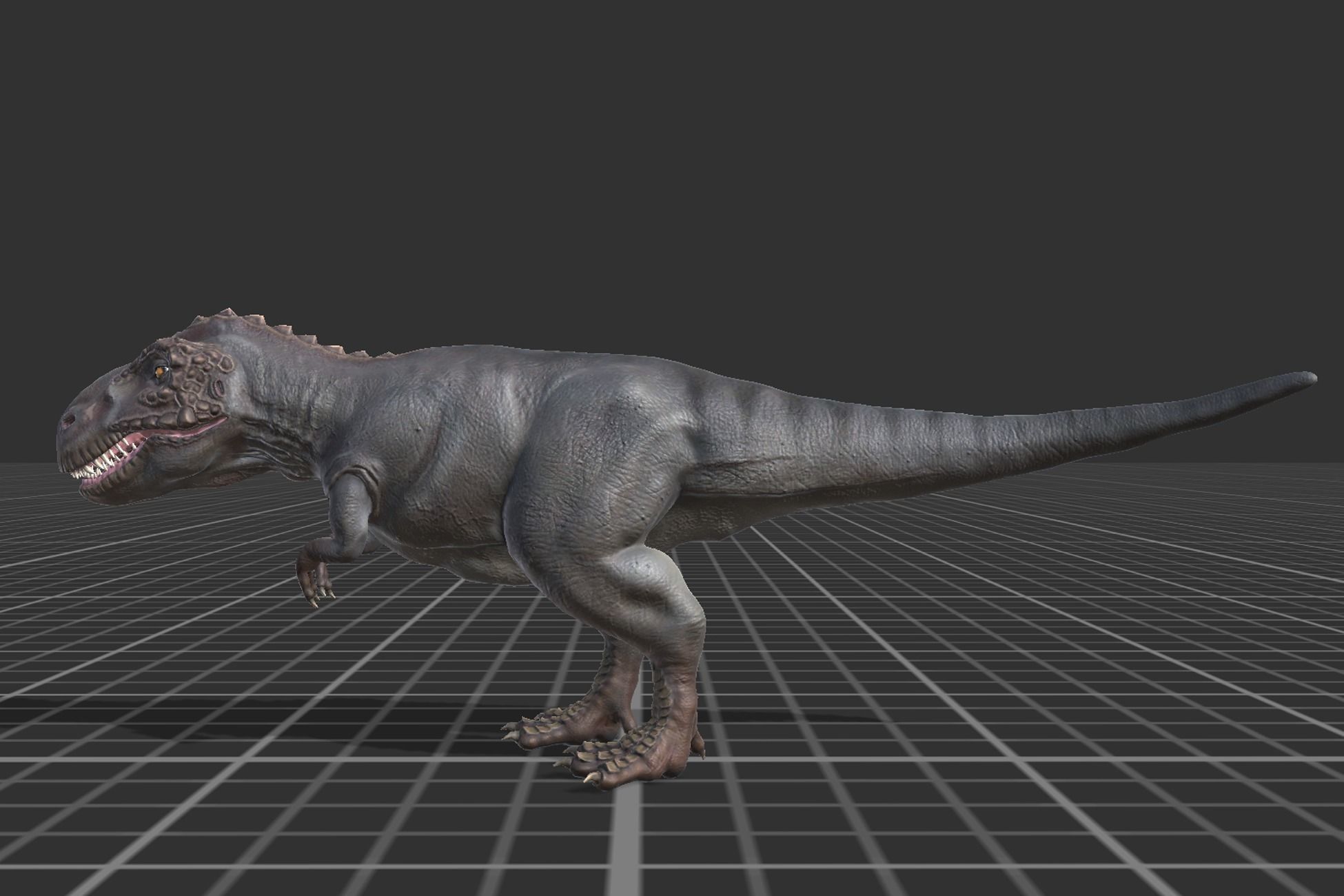 Tyrannosaurus  Low-poly 3D model_2
