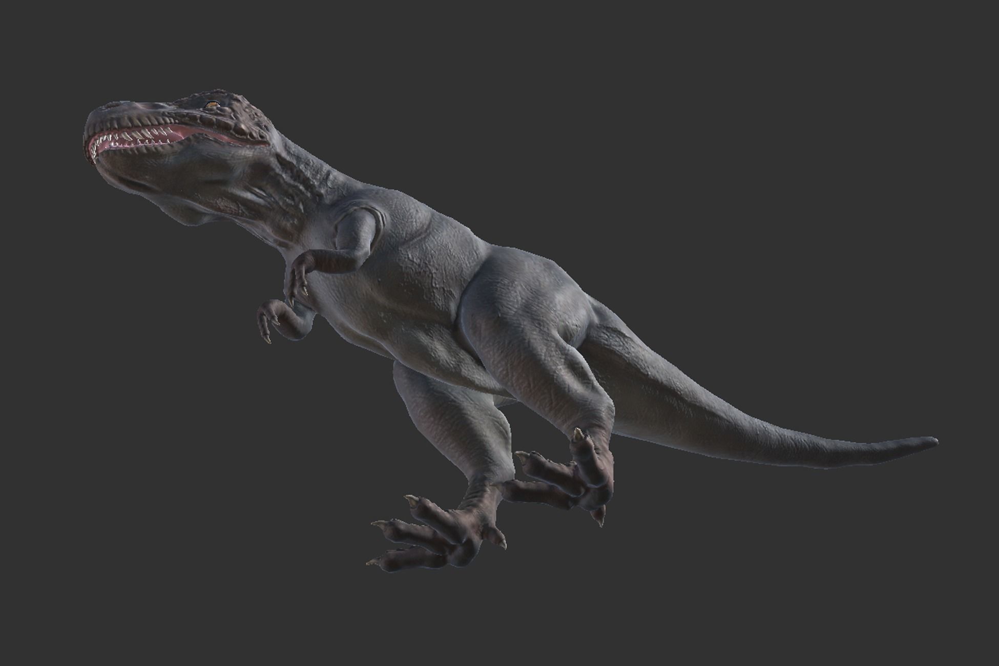 Tyrannosaurus  Low-poly 3D model_5