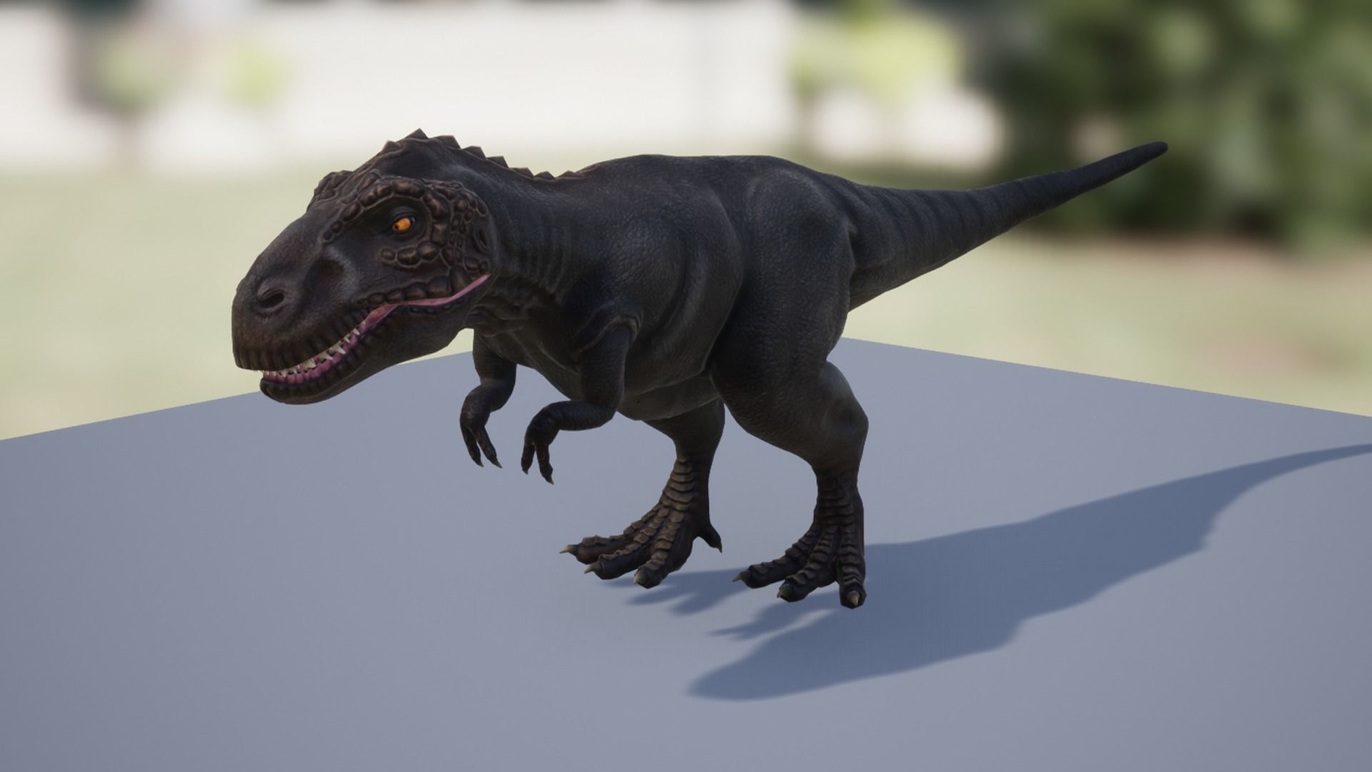 Tyrannosaurus  Low-poly 3D model_9