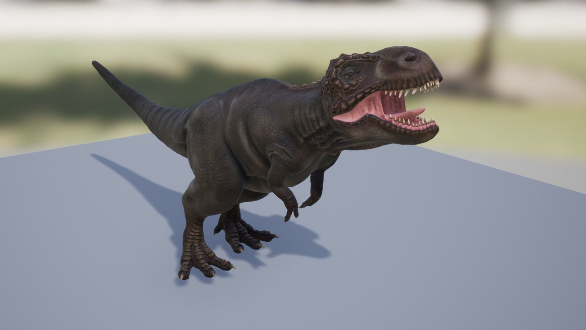 Tyrannosaurus  Low-poly 3D model_12