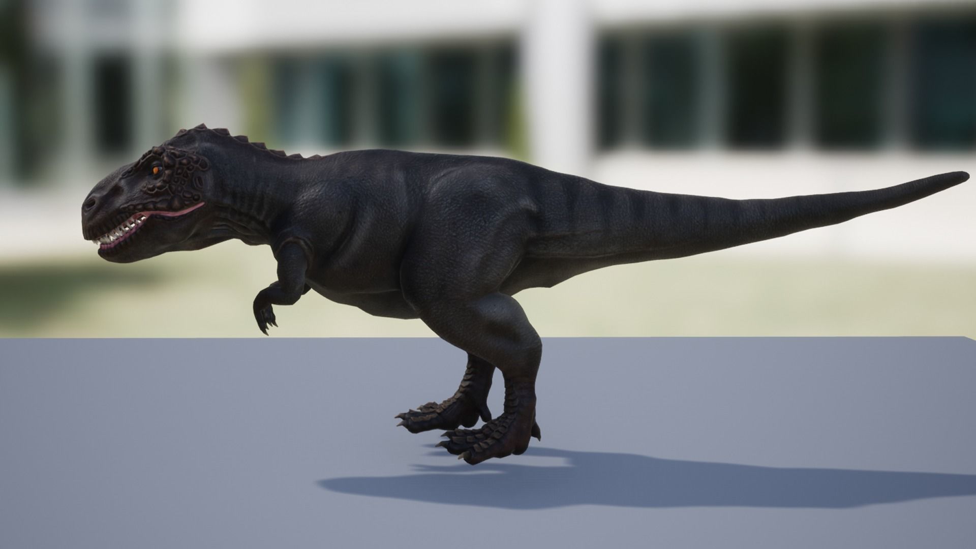 Tyrannosaurus  Low-poly 3D model_8