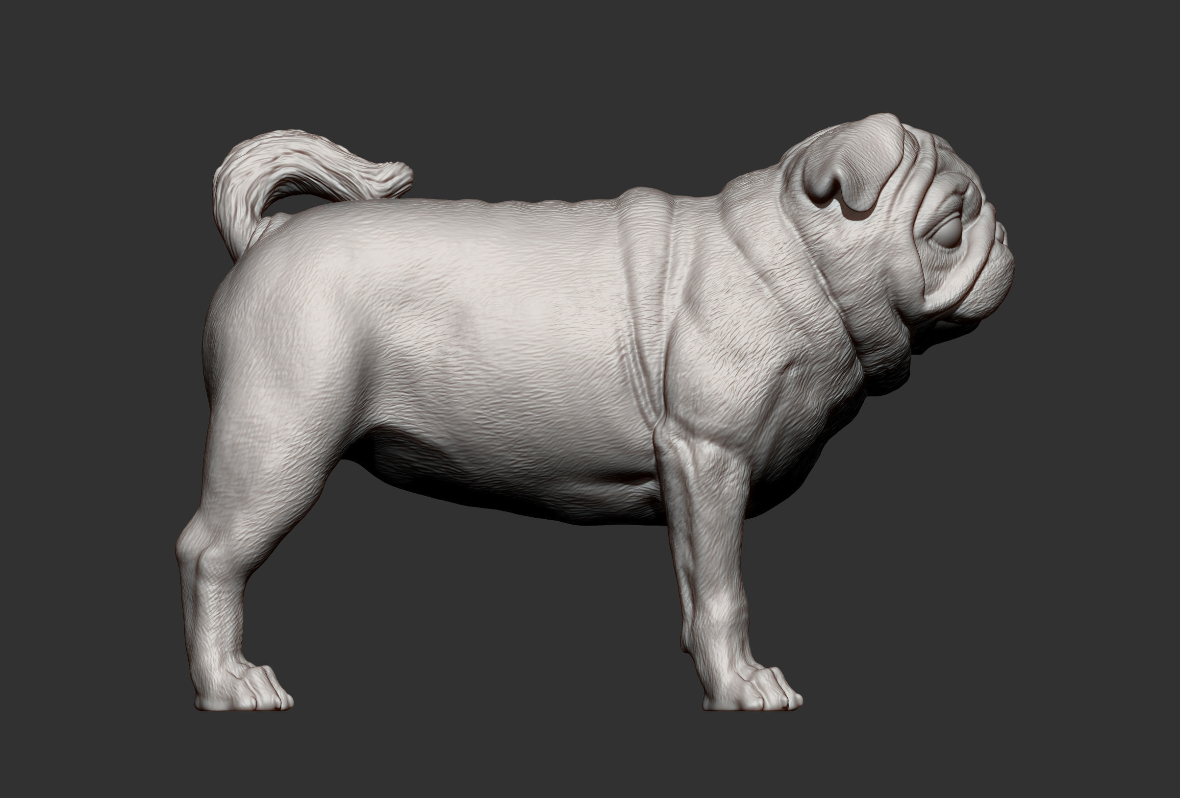 Pug for 3D printing 3D print model_12
